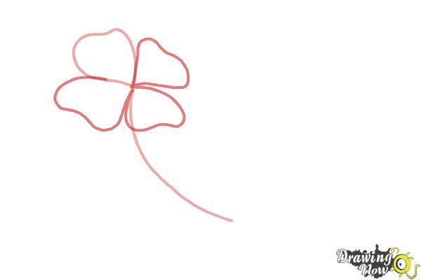 How to Draw Flowers Step by Step - DrawingNow