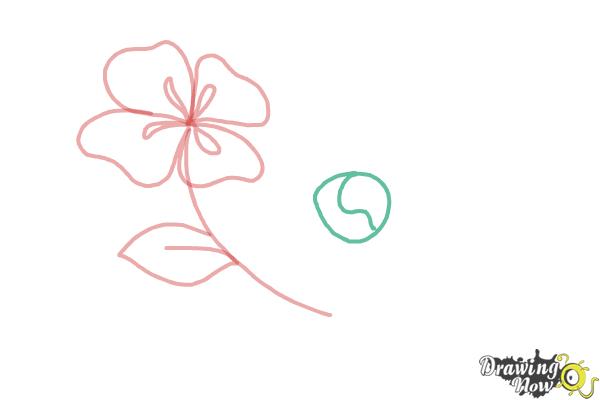 How to Draw Flowers Step by Step - Step 5