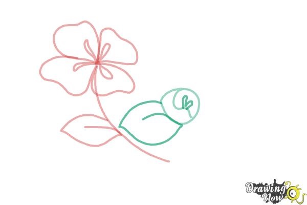 How to Draw Flowers Step by Step - Step 6