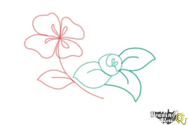 How to Draw Flowers Step by Step - Step 7