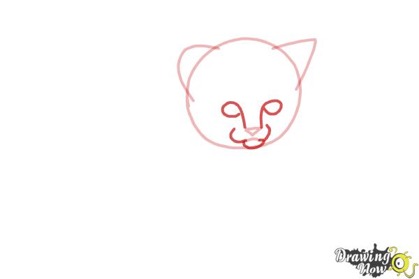 How to Draw a Kitten Step by Step - Step 3 How to Draw a Kitten Step by Step - Step 3