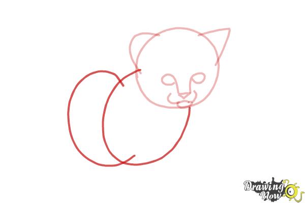 How to Draw a Kitten Step by Step - Step 4 How to Draw a Kitten Step by Step - Step 4