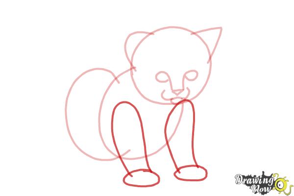 How to Draw a Kitten Step by Step - Step 5 How to Draw a Kitten Step by Step - Step 5