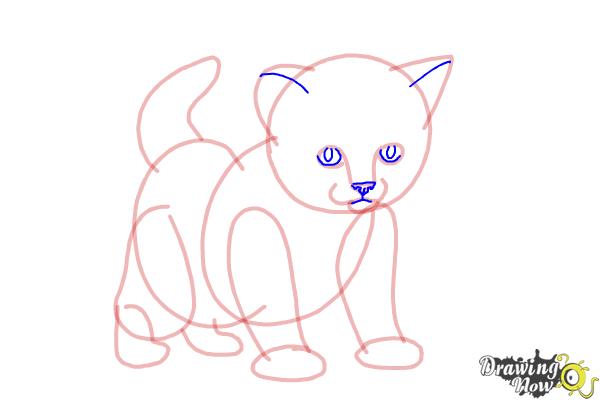 How to Draw a Kitten Step by Step - Step 8