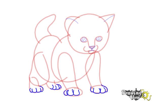 How to Draw a Kitten Step by Step - Step 9 How to Draw a Kitten Step by Step - Step 9
