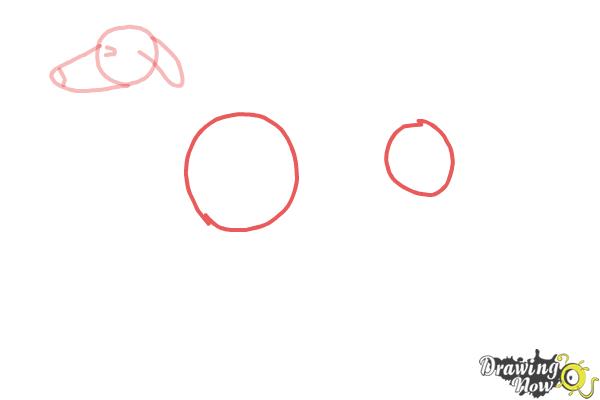 How to Draw a Greyhound - Step 3