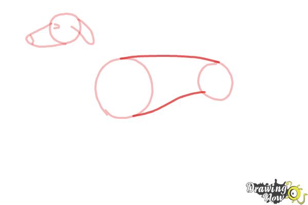 How to Draw a Greyhound - Step 4