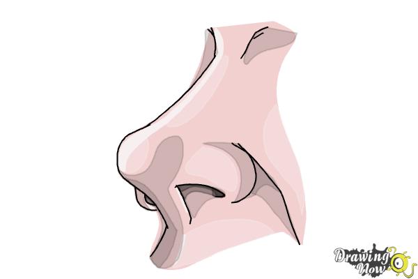 How to Draw a Nose Easy - Step 7