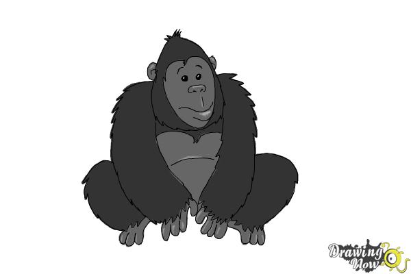 How to Draw a Gorilla For Kids - Step 8