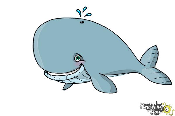 How to Draw a Whale For Kids - Step 12