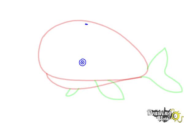 How to Draw a Whale For Kids - Step 5