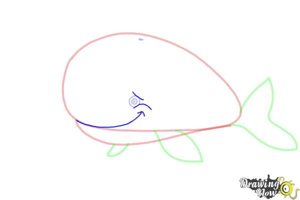 How to Draw a Whale For Kids - Step 6