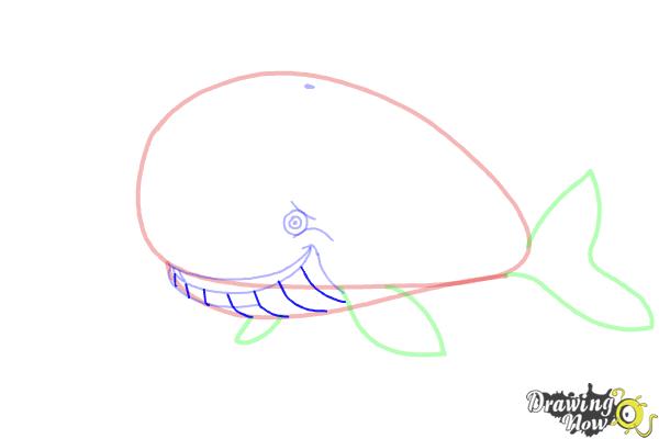 How to Draw a Whale For Kids - Step 8