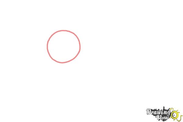 How to Draw a Baby Seal - Step 1 How to Draw a Baby Seal - Step 1