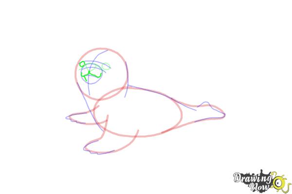 How to Draw a Baby Seal - Step 11