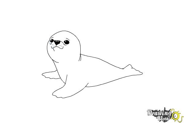 Featured image of post Baby Cute Seal Drawing Cute animal vector design elements set