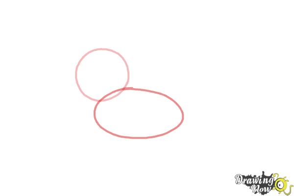 How to Draw a Baby Seal - Step 2 How to Draw a Baby Seal - Step 2