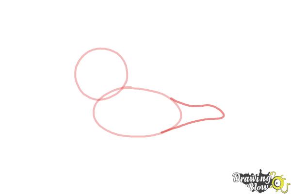 How to Draw a Baby Seal - Step 3