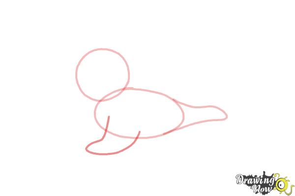 How to Draw a Baby Seal - Step 4