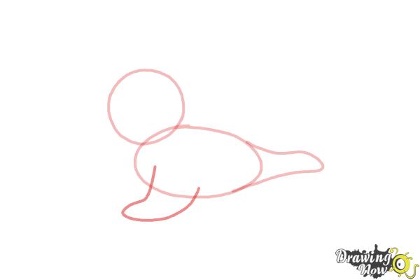 How to Draw a Baby Seal - Step 4 How to Draw a Baby Seal - Step 4