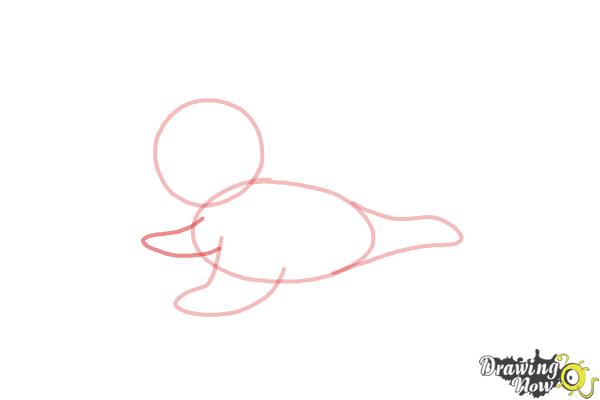 How to Draw a Baby Seal - Step 5 How to Draw a Baby Seal - Step 5