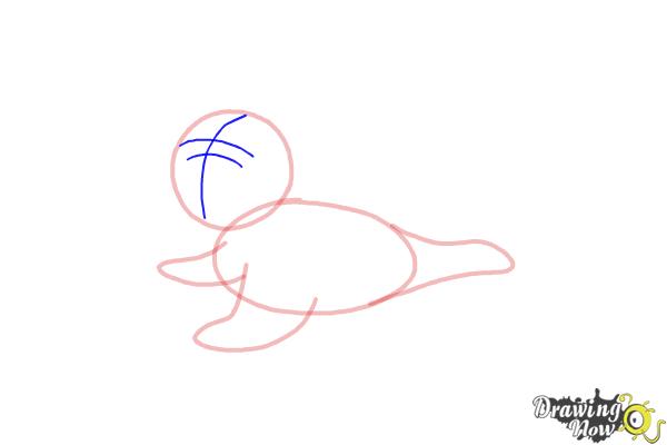 How to Draw a Baby Seal - Step 6