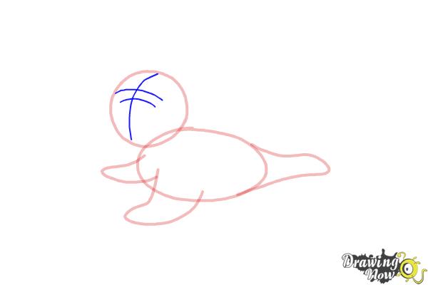 How to Draw a Baby Seal - Step 6 How to Draw a Baby Seal - Step 6