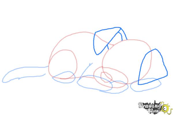 How to Draw a Sleeping Dog - Step 6