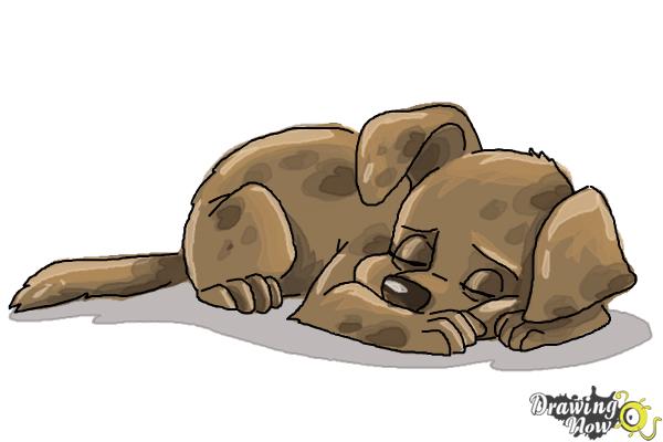 How to Draw a Sleeping Dog - Step 9