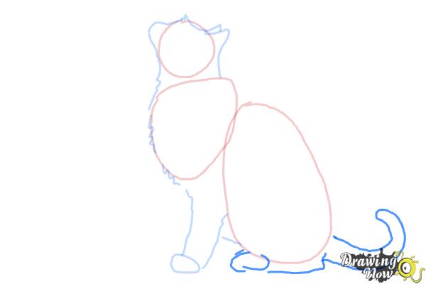 How to Draw a Cat Profile - Step 5