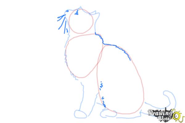 How to Draw a Cat Profile - Step 6