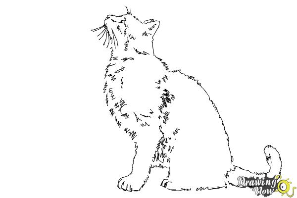 Coloring Page