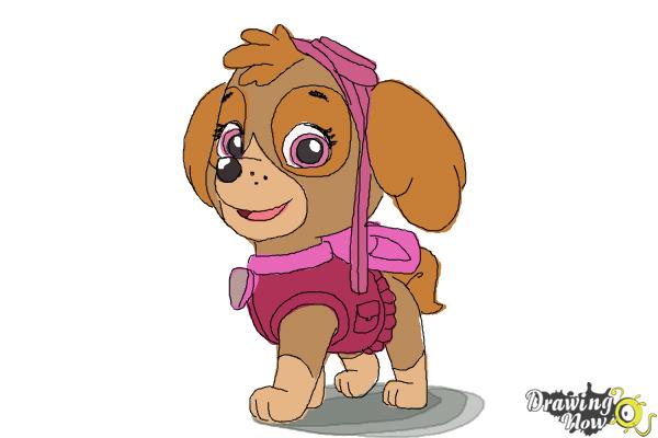 How to Draw Skye from Paw Patrol - DrawingNow