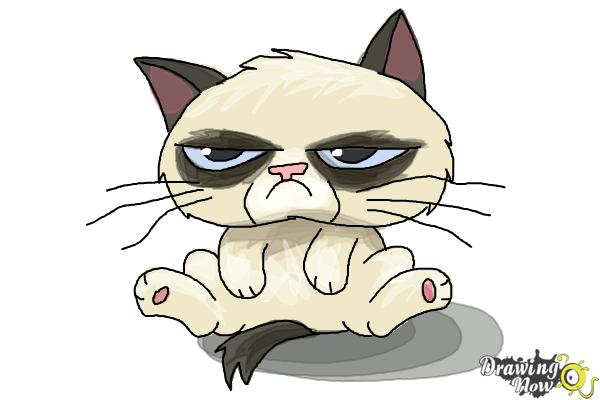 How to Draw Chibi Grumpy Cat - Step 9