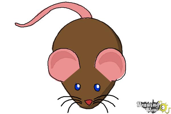 How to Draw a Mouse For Kids - Step 7