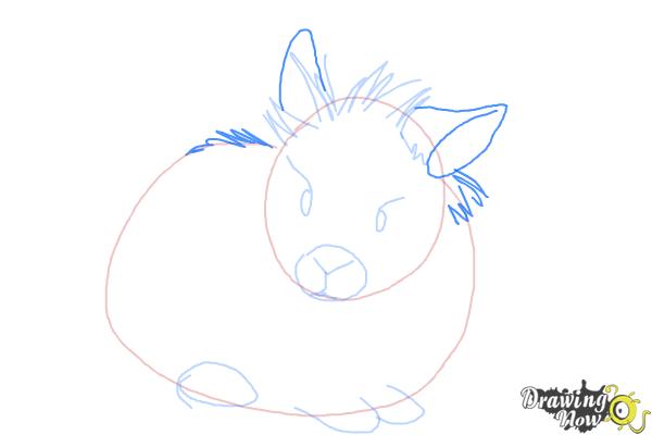 How to Draw a Lionhead Bunny - Step 5