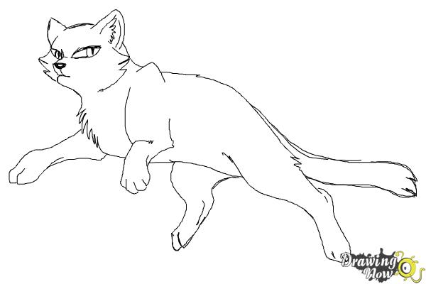 How to Draw Bluestar from Warrior Cats - DrawingNow