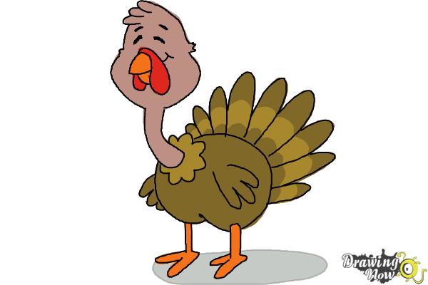 How to Draw a Turkey For Kids - Step 11