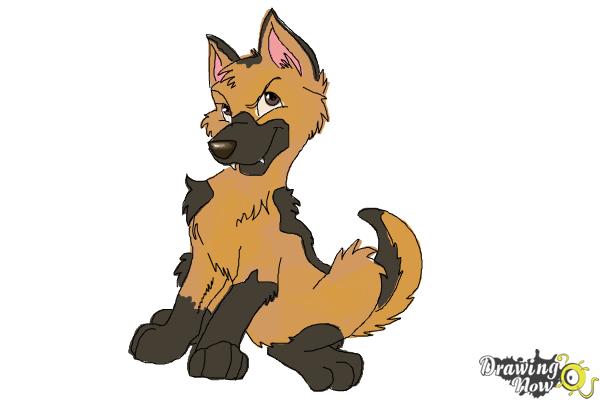 How to Draw a German Shepherd Puppy - Step 11