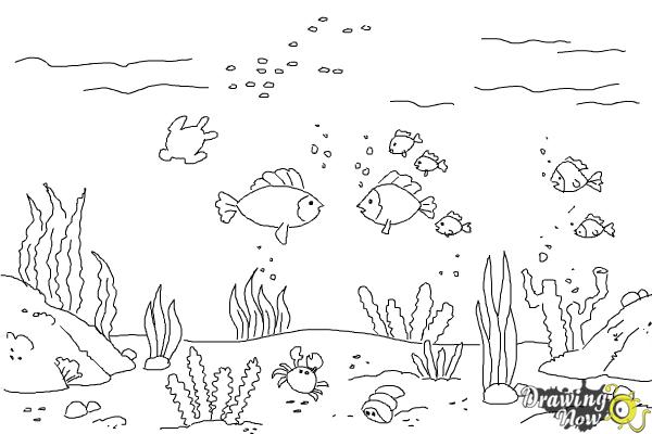 Coloring Page