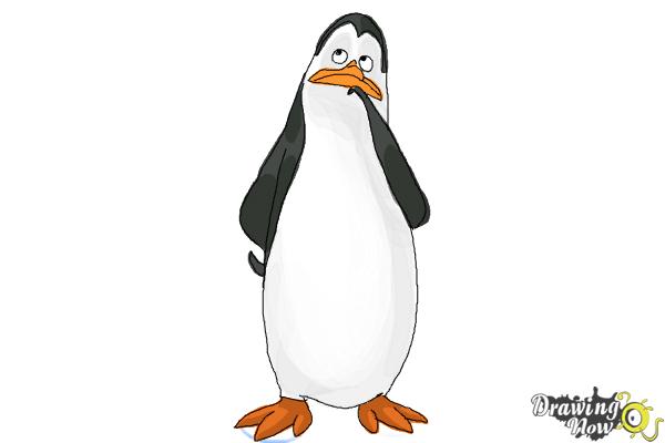 How to Draw Kowalski from The Penguins Of Madagascar - Step 9