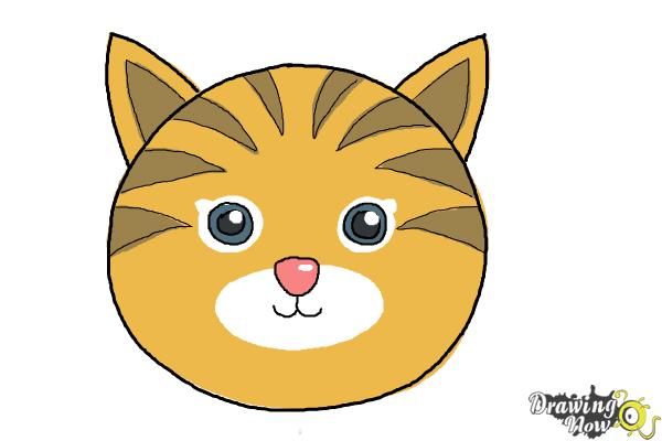 How to Draw a Cat Face - DrawingNow
