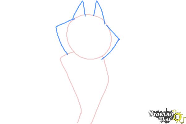 How to Draw Classified from The Penguins Of Madagascar - Step 2