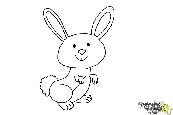 How to Draw a Simple Bunny - DrawingNow