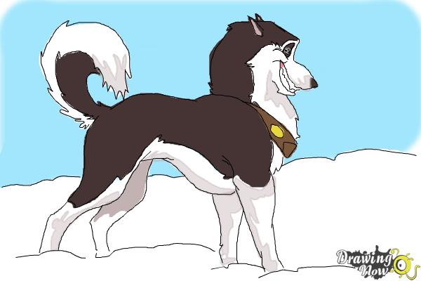How to Draw Steele from Balto - Step 11