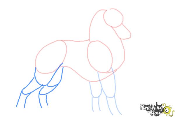 How to Draw Steele from Balto - Step 6