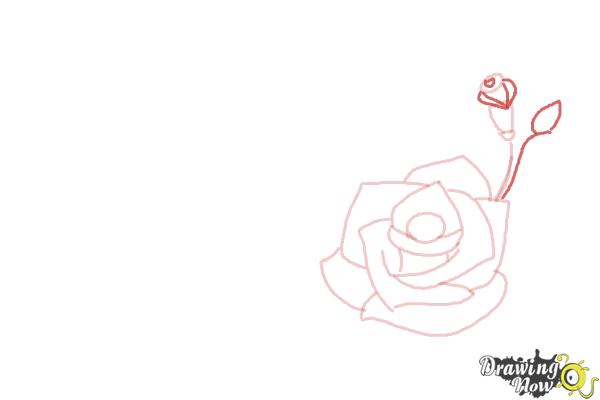 How to Draw Valentine Roses - Step 7