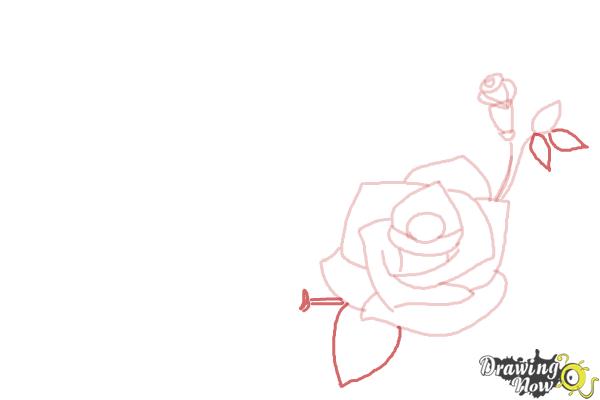 How to Draw Valentine Roses - Step 8