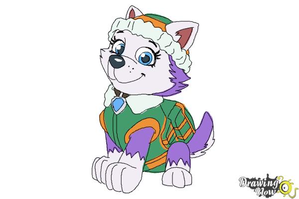 How to Draw Everest from Paw Patrol - DrawingNow