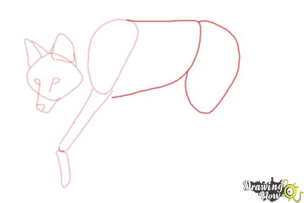 How to Draw a Wolf - Maned Wolf - Step 5